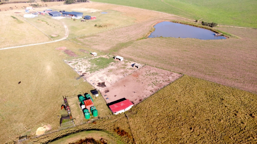 6 Bedroom Property for Sale in Wilderness Rural Western Cape